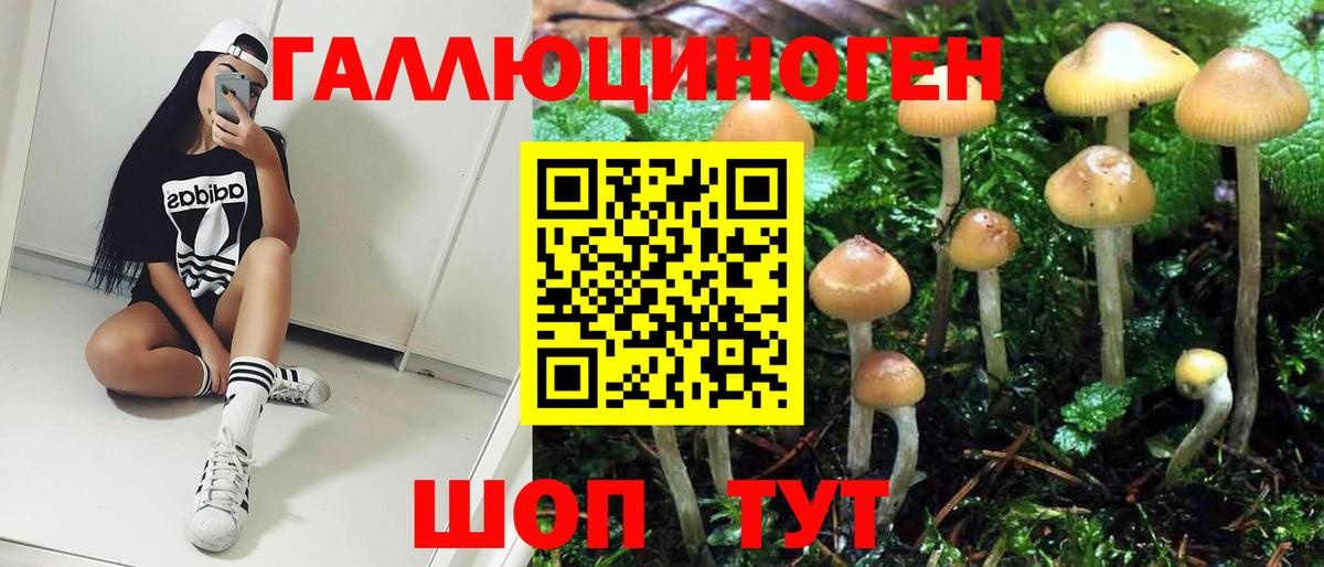 Псилоцибиновые грибы Psilocybine cubensis  Псилоцибиновые грибы Psilocybine cubensis  Ярославль  Вход с VPN 